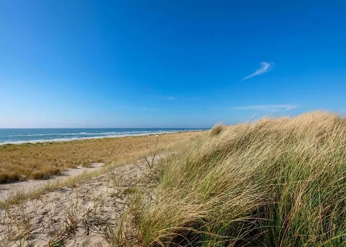 Dağ evi Knus Met Zwembad En Sauna *