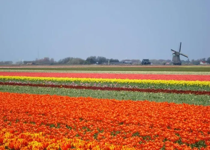 Dağ evi Knus Met Zwembad En Sauna *