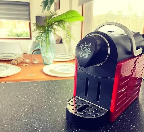 Knus Met Zwembad En Sauna * Sint Maartensvlotbrug