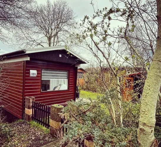 Knus Met Zwembad En Sauna