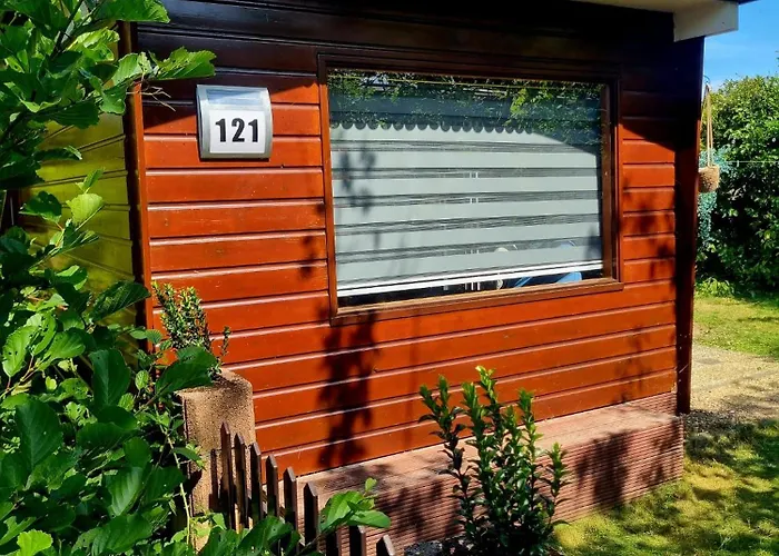 Dağ evi Knus Met Zwembad En Sauna Sint Maartensvlotbrug