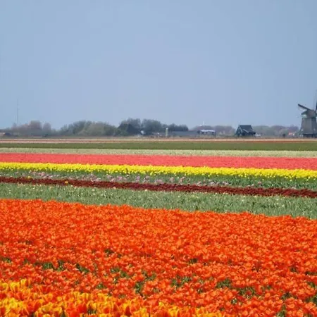 샬레 Knus Met Zwembad En Sauna *